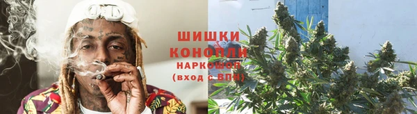 ПСИЛОЦИБИНОВЫЕ ГРИБЫ Аркадак