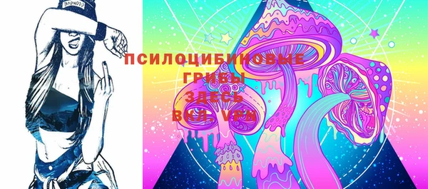 индика Армянск