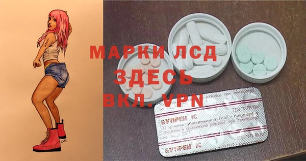 ПСИЛОЦИБИНОВЫЕ ГРИБЫ Аркадак