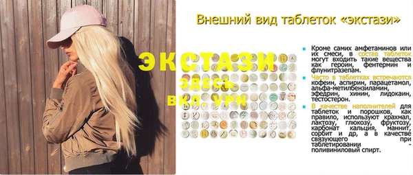 индика Армянск