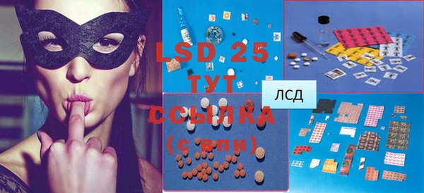 индика Армянск